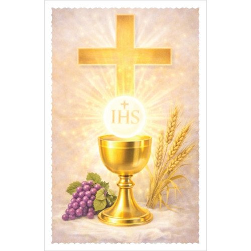 Obrázok lam. (Z062) PSP - hnedý